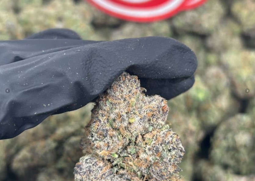 Blue Cherry Sorbert