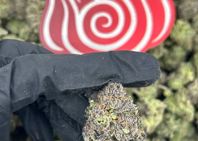 Mount Fuji Grapes
