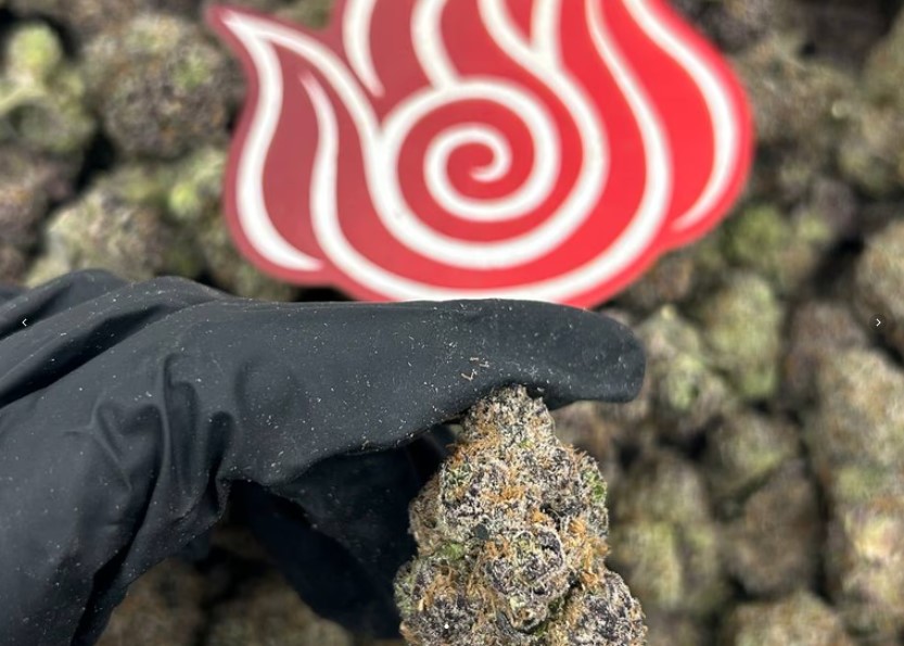 Purple Gummy Bear
