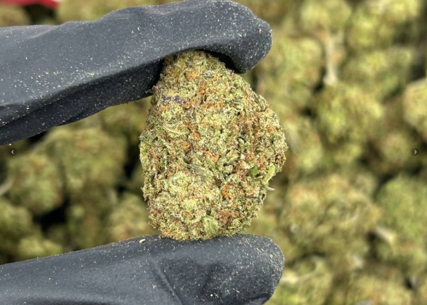 Grand Daddy Purp