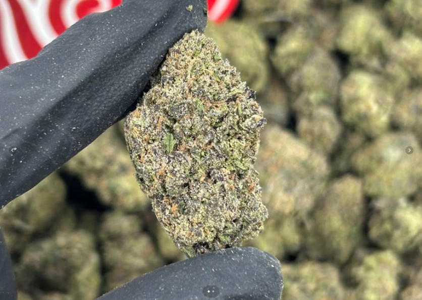Grape Fusion