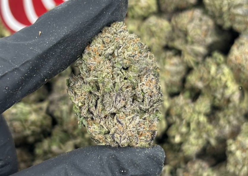 Rainbow Zkittlez