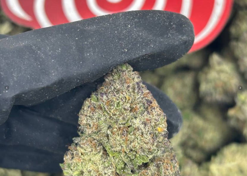 Strawberry Nerdz