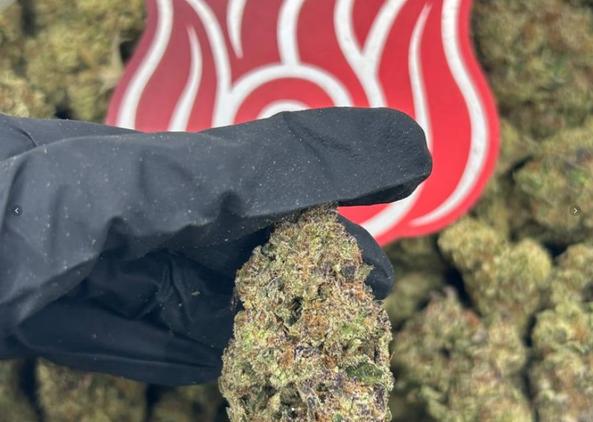 Mule Fuel