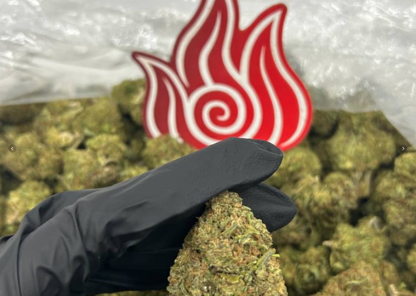 Gelato 47