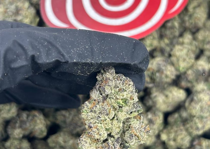 Purple Barboza