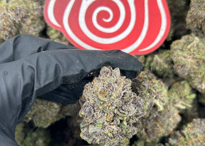 Tropicana Cookiez